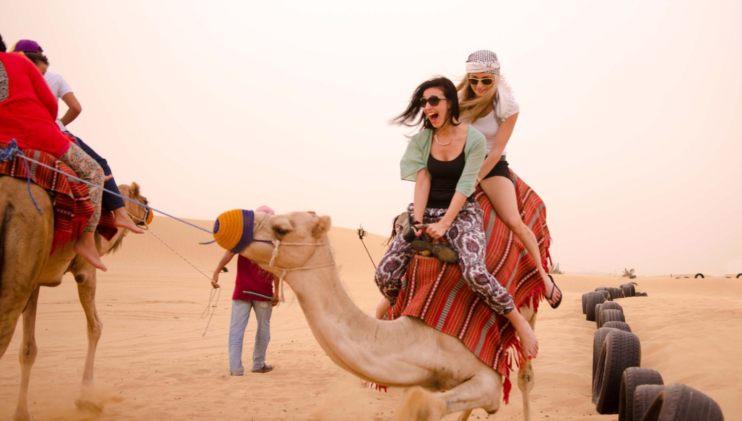 Desert Safari Dubai , How to Choose the Best And cheapest