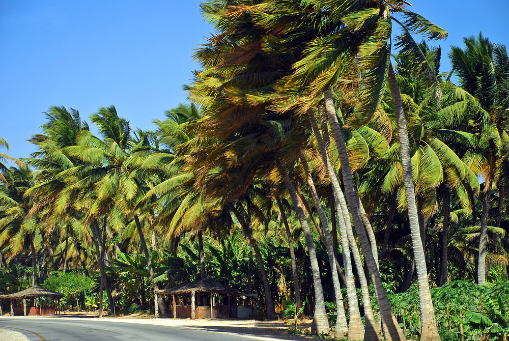 Salalah, Oman