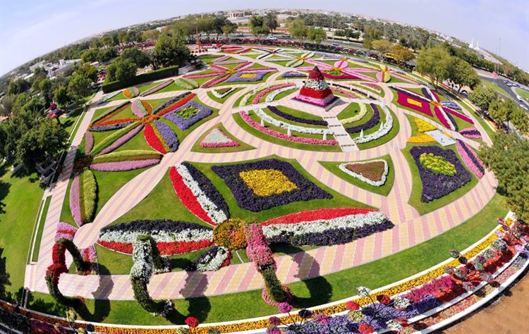 Dubai Miracle Garden