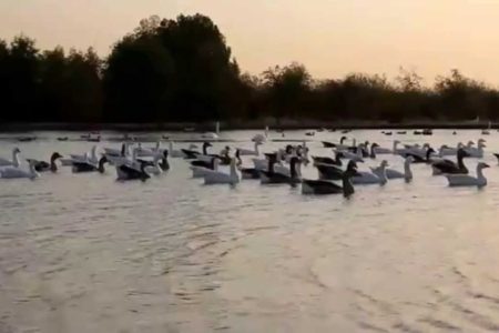 Saih Al Salam Lakes  in Dubai