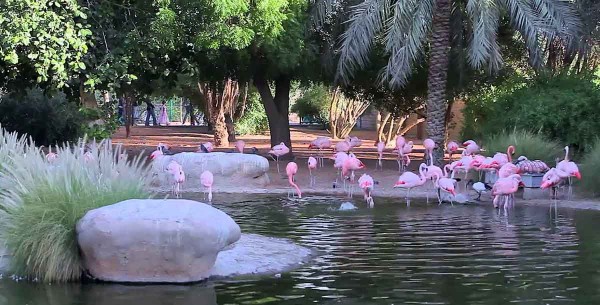 Al Ain Zoo