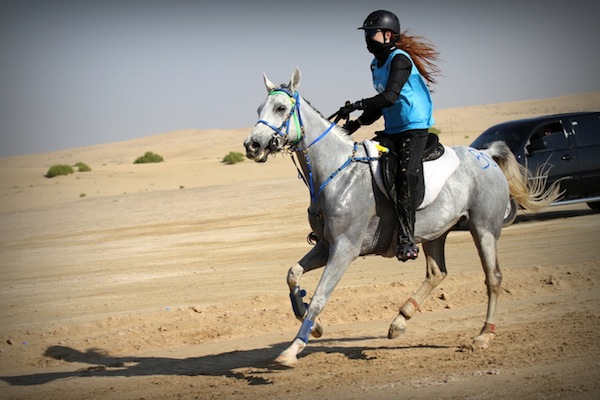 Desert Riding 